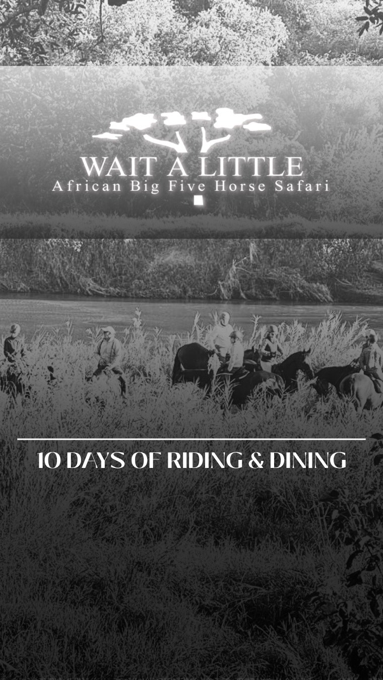 10 days of riding and dining anyone? 

10 days of riding in the bush with the very best safari horses!
10 days to experience sightings that leave lasting impressions.
10 days of a true African horse safari adventure. 🇿🇦
10 days for a life time of memories.✨

#africanbig5horsesafari #waitalittle #thewaitalittleexperience #afrianhorsesafaris #ridinginafrica