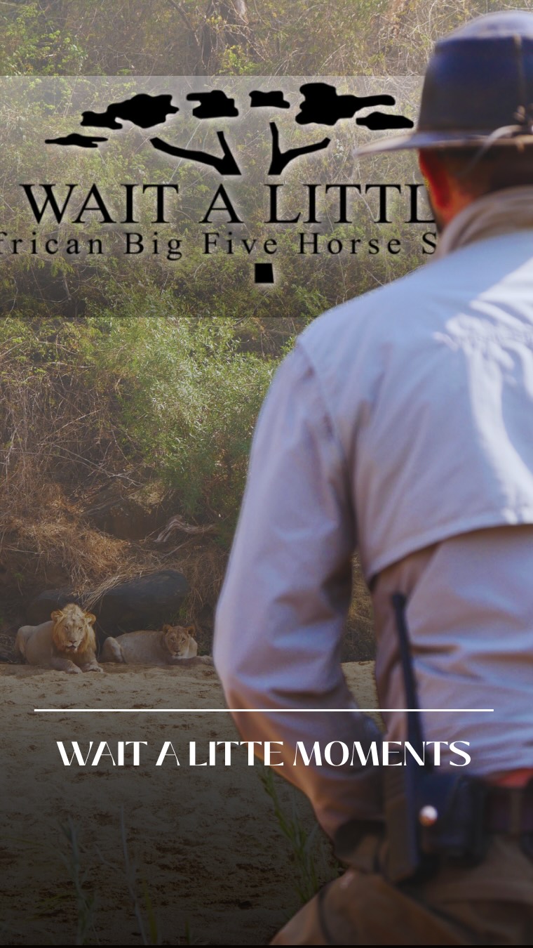 If there was one more thing you could do, it would be to come on safari with us & experience all the unscripted moments in the bush once again ✨ 

#africanbig5horsesafari #waitalittle #thewaitalittleexperience #safarilife #ridinginafrica